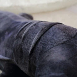 Baja The Black Komodo Dragon Lizard Plushie -Kawaii Store kawaiies plushies plush softtoy baja the black komodo dragon lizard plushie soft toy 879877