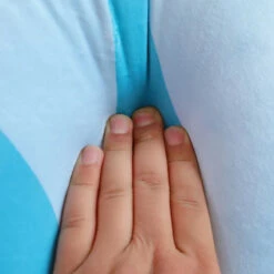 Blue Oyster White Seal Plushie -Kawaii Store kawaiies plushies plush softtoy blue oyster white seal plushie soft toy 307595