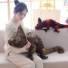Brown & Red Chameleon Plush -Kawaii Store kawaiies plushies plush softtoy brown red chameleon plush soft toy 313348