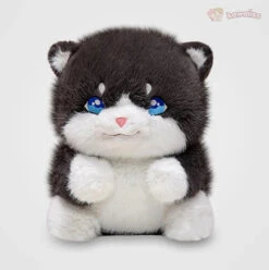 Cute Chubby Gray Ginger Cat Plushies -Kawaii Store kawaiies plushies plush softtoy cute chubby gray ginger cat plushies soft toy 430254