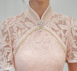 Apparel Dainty Lace Chinese Traditional Qipao Cheongsam Dress -Kawaii Store kawaiies plushies plush softtoy dainty lace chinese traditional qipao cheongsam dress apparel 935352