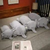 Fluffy Laying Elephant Family -Kawaii Store kawaiies plushies plush softtoy fluffy laying elephant family soft toy 468026