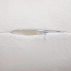 Galaxy Rainbow Dolphin Plushies -Kawaii Store kawaiies plushies plush softtoy galaxy rainbow dolphin plushies soft toy 373926