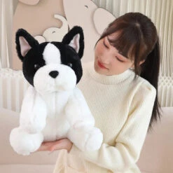 Kawaii Biege White French Bulldog Plushies -Kawaii Store kawaiies plushies plush softtoy kawaii biege white french bulldog plushies soft toy 232109