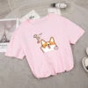 Apparel Kawaii Corgi Dog Bone Print Women's Tee -Kawaii Store kawaiies plushies plush softtoy kawaii corgi dog bone print womens tee new apparel baby pink s 109055