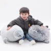 Lazy Chubby Seal -Kawaii Store kawaiies plushies plush softtoy lazy chubby seal soft toy 387942