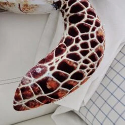 Ocean Sea Turtle Plushies -Kawaii Store kawaiies plushies plush softtoy ocean sea turtle plushies new soft toy 634398