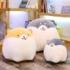 PacShiba Plushies -Kawaii Store kawaiies plushies plush softtoy pacshiba collection soft toy 773189