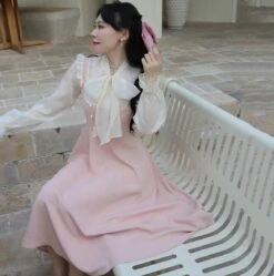 Apparel Pink White Vintage Fairytale Cottage Dress 13 Apparel Pink White Vintage Fairytale Cottage Dress -Kawaii Store kawaiies plushies plush softtoy pink white vintage fairytale cottage dress apparel 288546