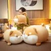 Plumpy Blushing Shiba -Kawaii Store kawaiies plushies plush softtoy plumpy blushing shiba new soft toy 116201